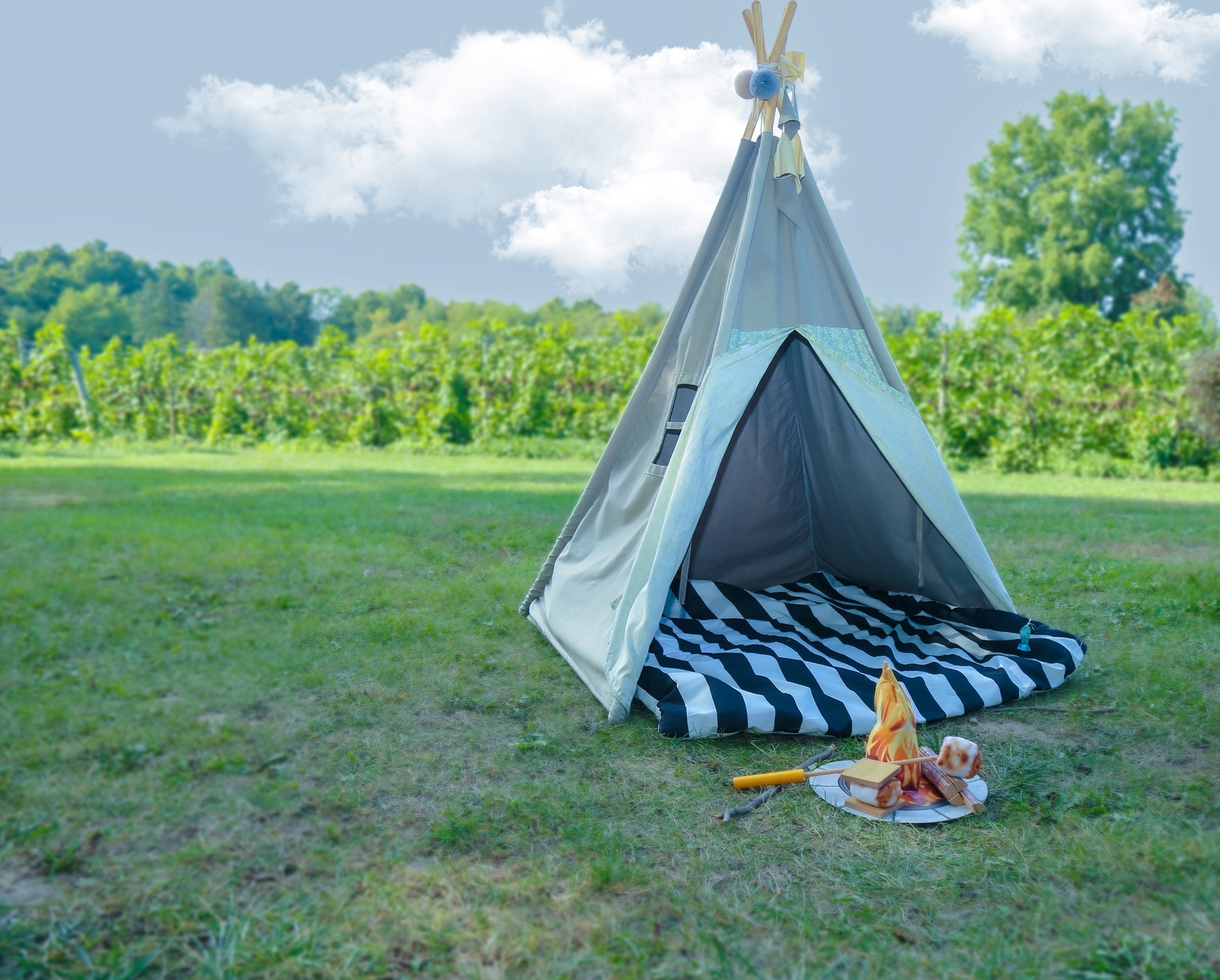 Pinot Gris on rope swing